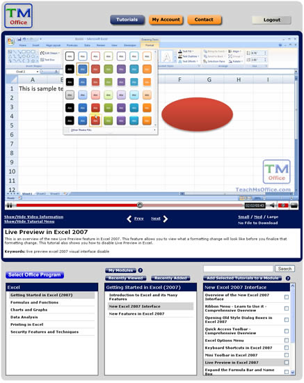 TeachMsOffice.com Video Player Interface